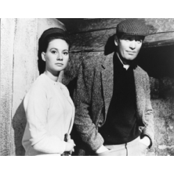 Danger Man Patrick McGoohan Francesca Annis Photo